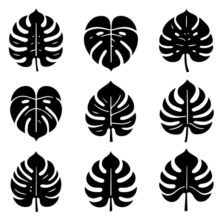 Vector monstera leaf collection with flat design style