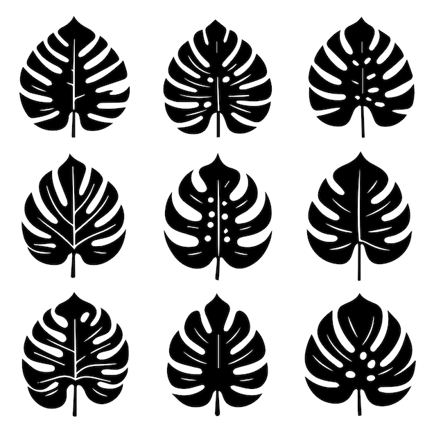 실루 스타일과 스텐실 디자인으로 된 몬스테라 잎 컬렉션