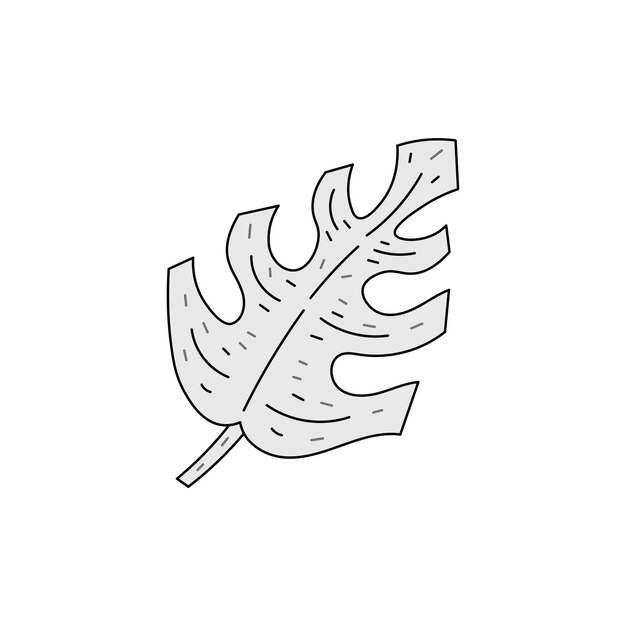 Monstera leaf in doodle style