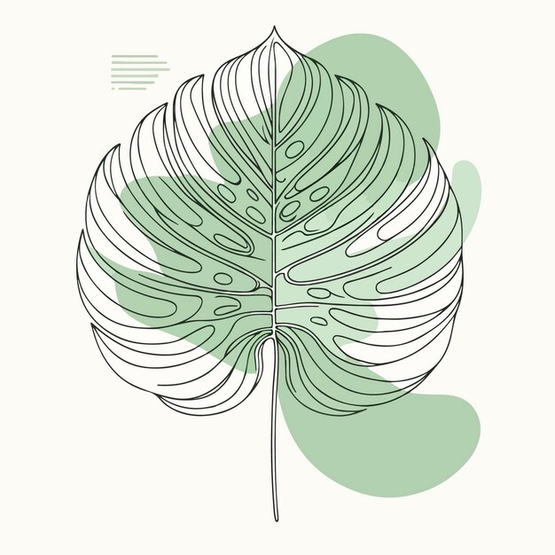 Vector monstera leaf illustration with a simple aesthetic line art style for poster