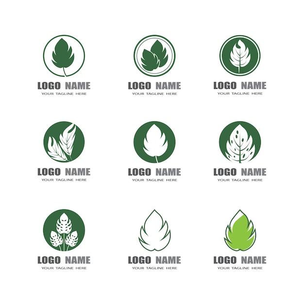 Monstera leaf logo vector design