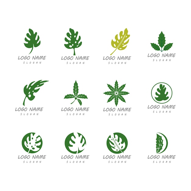 モンステラの葉のロゴのベクトルのデザイン