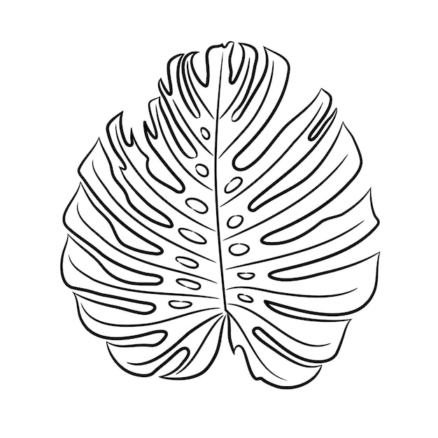 Вектор Лист декоративного растения monstera с отверстиями эскиз рисует из контура черные линии кисти различной толщины на белом фоне векторная иллюстрация