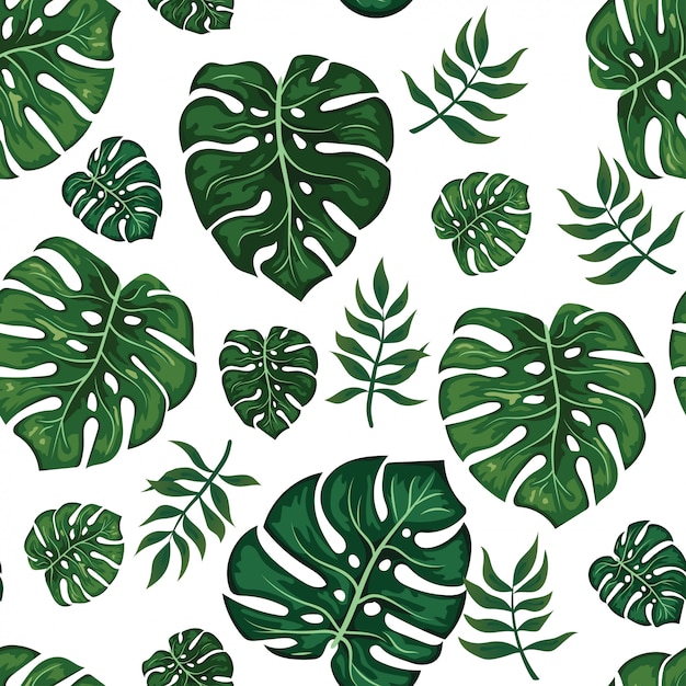 Monstera leaf-patroon