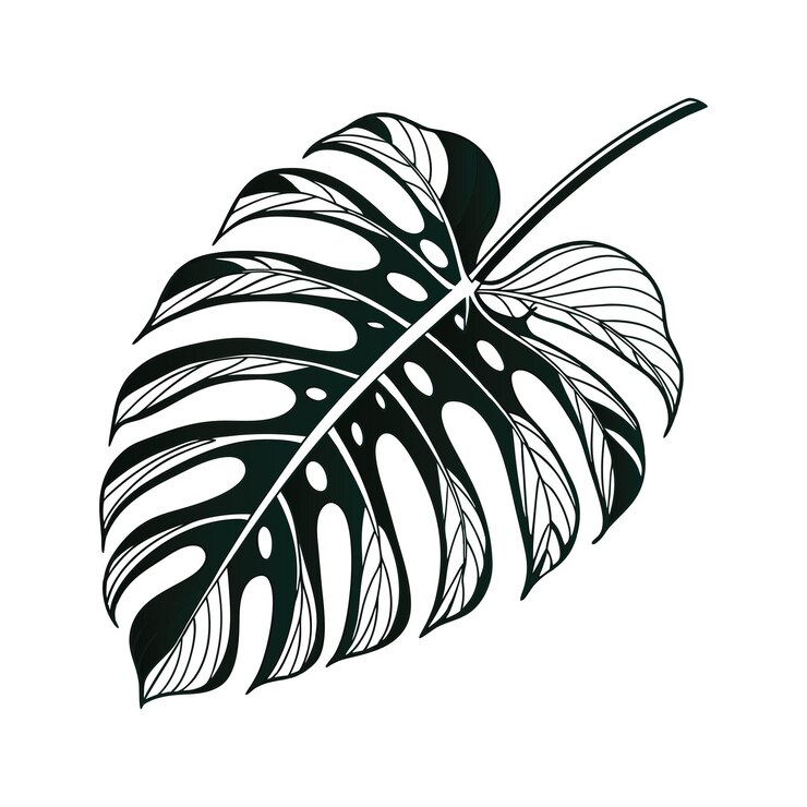 Vector monstera leaf plotter file svg