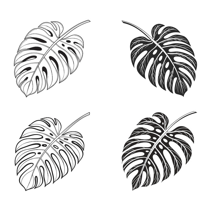 Vector monstera leaf plotter file svg
