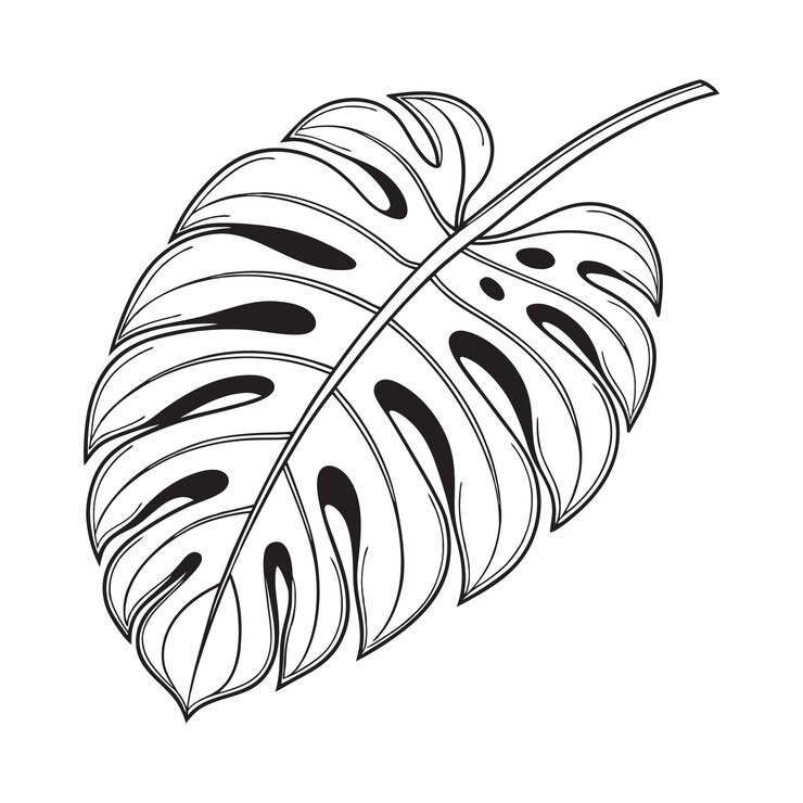 Vector monstera leaf plotter file svg