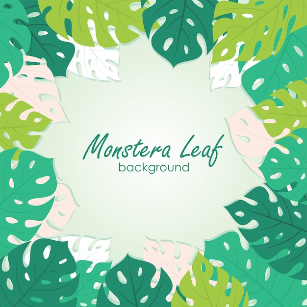 Monstera 잎 배경