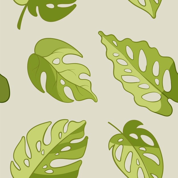 Vector monstera leaves beautiful hand drawn exotic plants