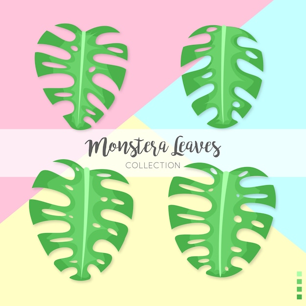 Monstera Leaves-collectie