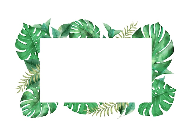 Vettore monstera leaves frame isolato bianco