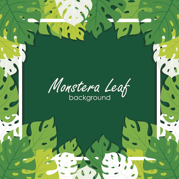 Monstera 잎 프레임
