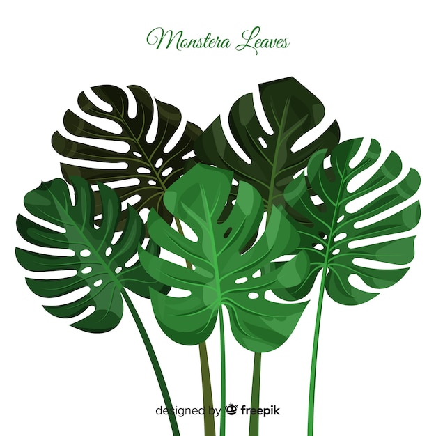 Vector monstera leaves group background