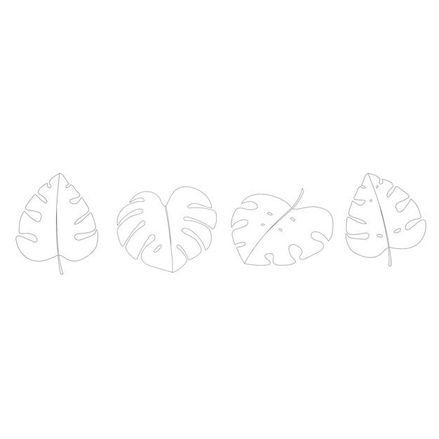 Monstera leaves line art