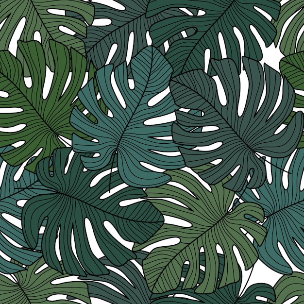 Monstera lascia il modello senza cuciture su fondo bianco.