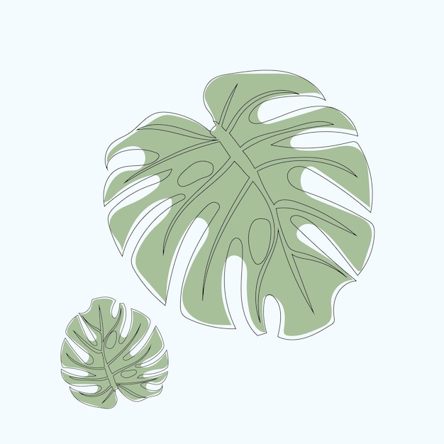 Vector monstera leaves vector line art drawing and illustration