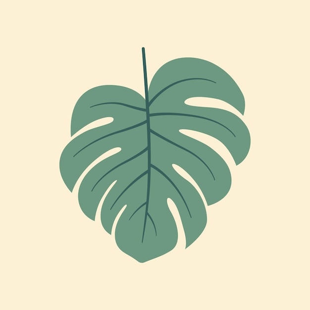 Monstera platte vectorillustratie op geïsoleerde achtergrond tropische bladeren vector platte illustratie