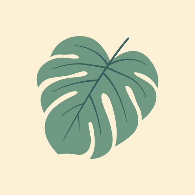 Monstera platte vectorillustratie op geïsoleerde achtergrond tropische bladeren vector platte illustratie