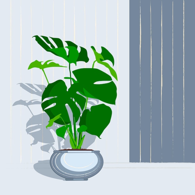 Monstera in a pot vector flat illustration