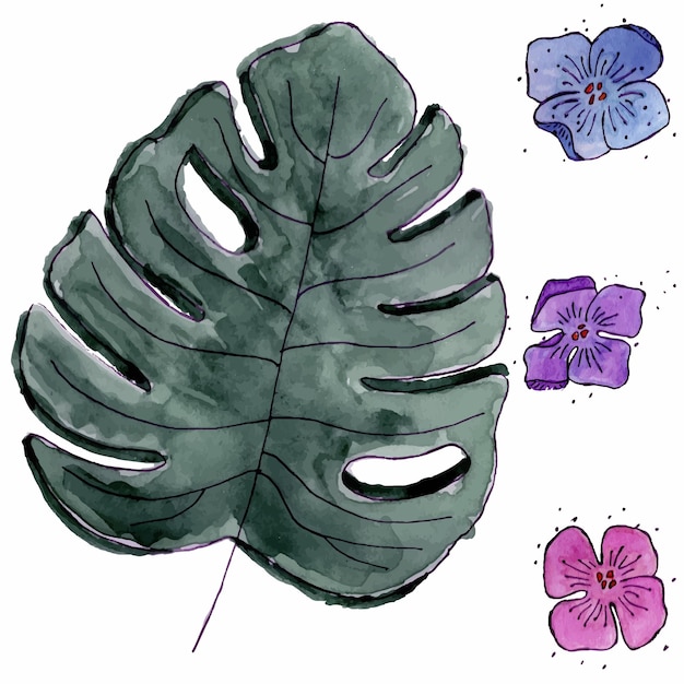 Тропический лист монстера и иллюстрация цветов на белом фоне акварель и лайнер