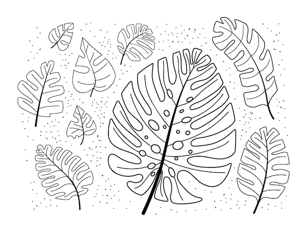 Тропические листья монстеры каракули задают векторную иллюстрацию