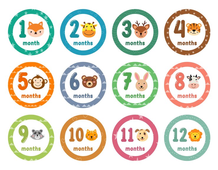 かわいい動物の毎月の赤ちゃんのステッカー