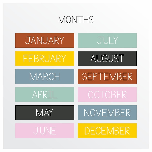 Vector months colorful vector 2023 adobe illustrator