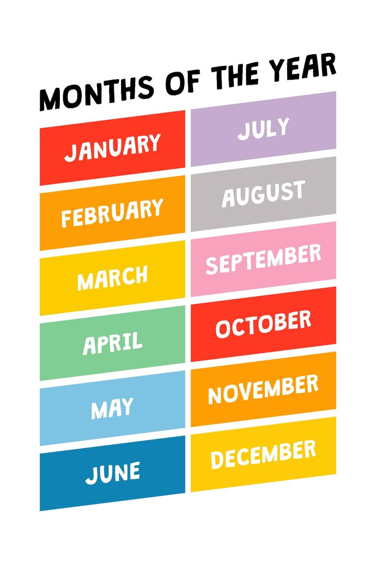 Vector months of the year educational wall art poster