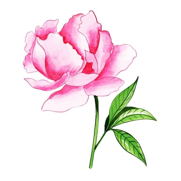 Vector mooi aquarel bloemenelement