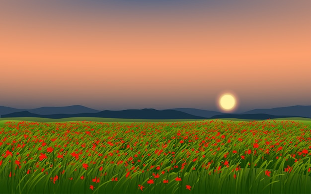 Vector mooi bloemgebied in zonsondergang