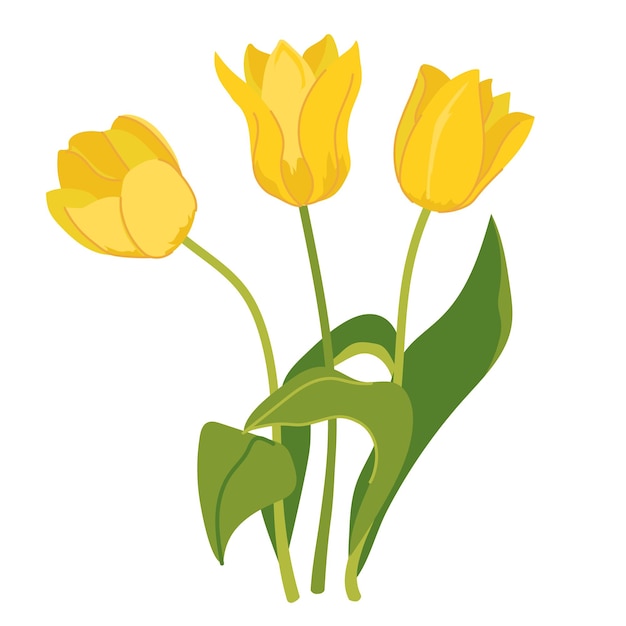 Mooi boeket gele tulpen geïsoleerd op witte achtergrond Boeket voorjaarsbloemen geschenk voor Internationale Vrouwendag of Moedersdag Kleurige vectorillustratie in platte stijl