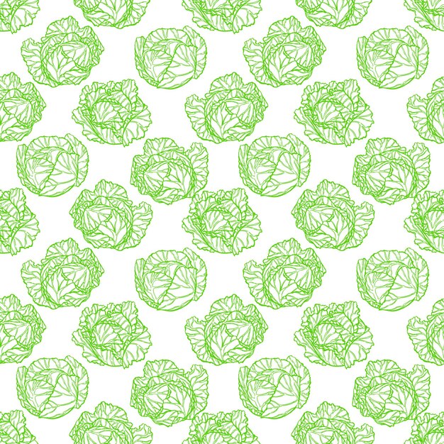Mooi naadloos patroon van groene kool op een witte achtergrond. handgetekende illustratie