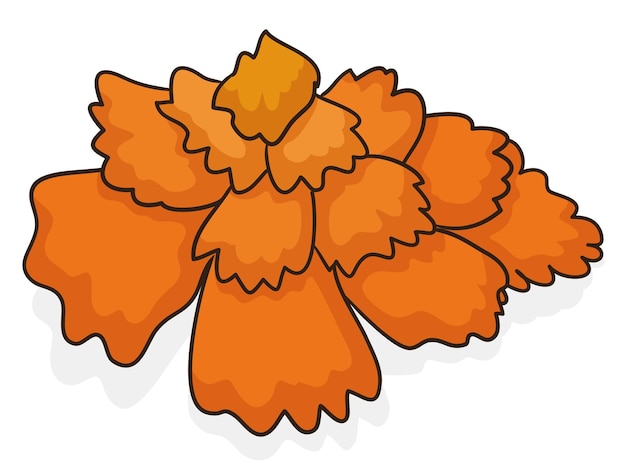 Mooie cempasuchil of Goudsbloem bloem in cartoon stijl en contouren op witte achtergrond