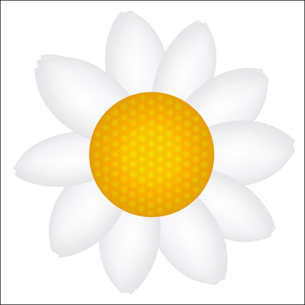 Mooie Daisy pictogram vectorillustratie