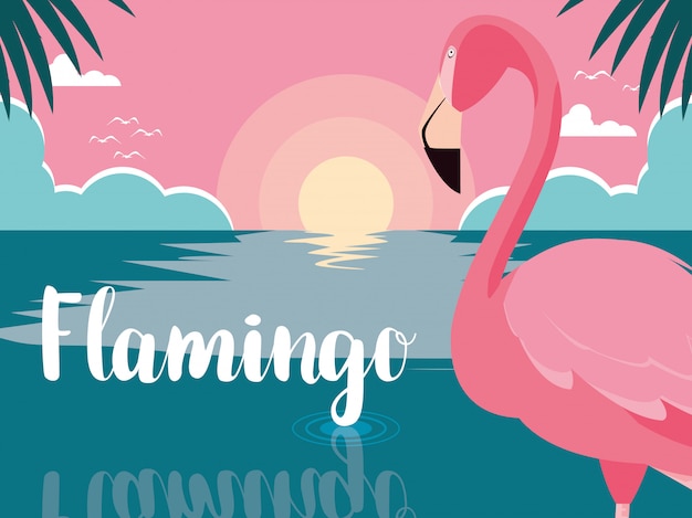 Mooie flamingovogeltribune in het landschap