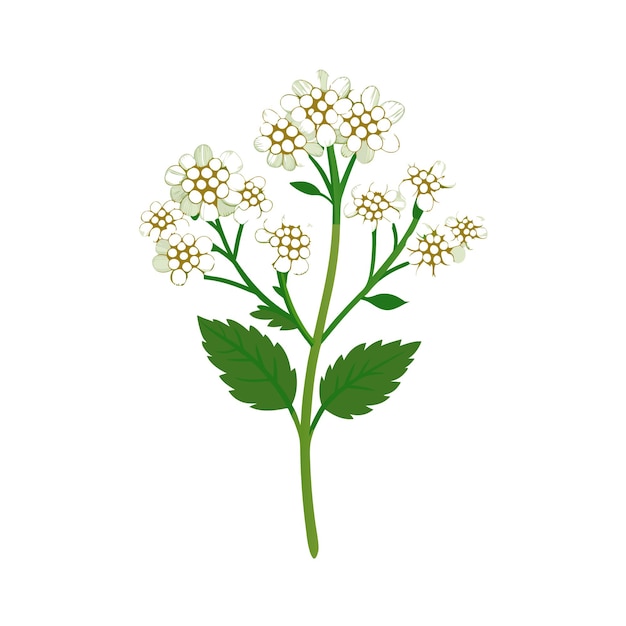 Mooie Flower platte stijl vector illustratie