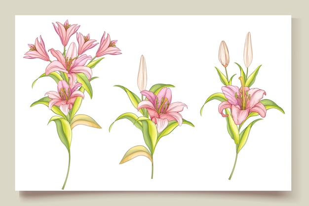 Vector mooie hand getrokken lelie bloemen illustratie