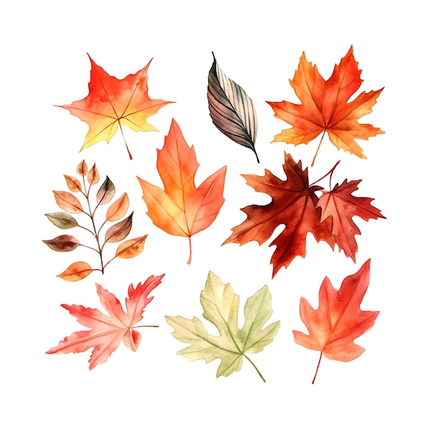 Mooie herfstbladeren aquarel decor geweldig ontwerp voor alle doeleinden botanische achtergrond