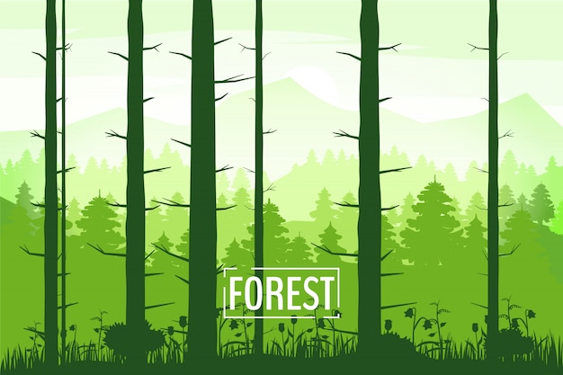 Mooie het landschapssilhouetten van de lente van boomboomstammen, groene kleur van gebladerte