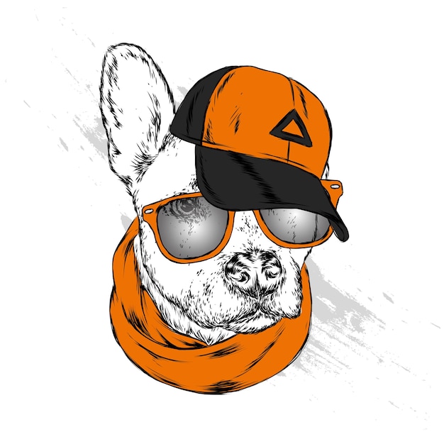 Vector mooie hipsterhond in stijlvolle kleding