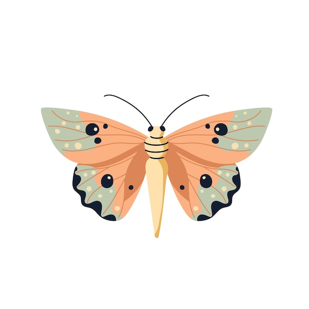 Mooie illustratie van een vlinder met oranje en blauwe vleugels