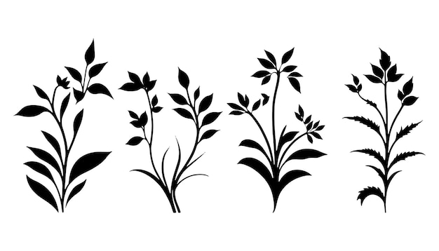 Mooie kleine planten silhouet Vector Planten Vector Plant silhouet set