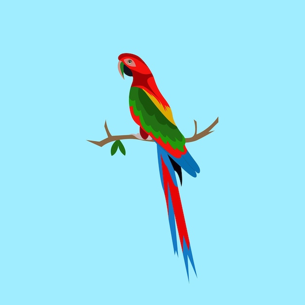 Vector mooie kleurrijke vogel vectorillustratie