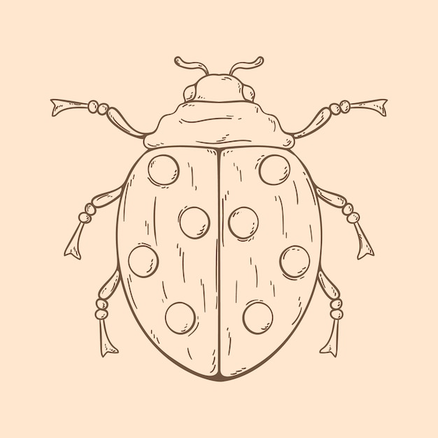 Mooie lieveheersbeestje schets illustratie
