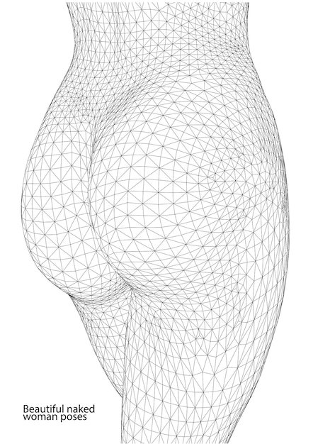 Mooie naakte vrouw poseert vrouwelijk lichaam 3d wireframe vector