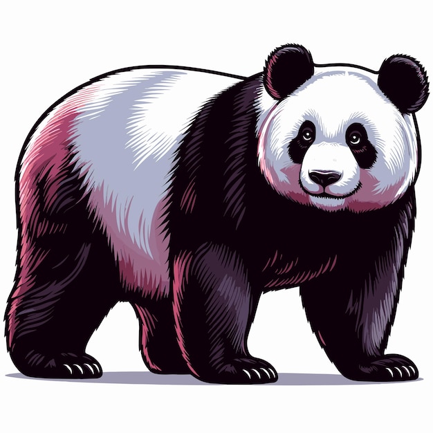 Mooie Panda Vector Cartoon illustratie