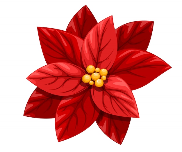 Mooie rode Poinsettia bloem Kerstdecoratie kerst ornament illustratie op witte achtergrond