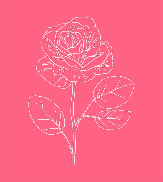 Mooie roze bloem lijntekeningen schets illustratie