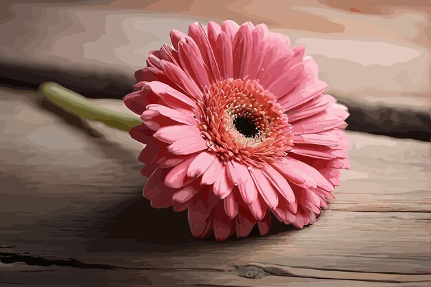 Vector mooie roze gerbera bloemen