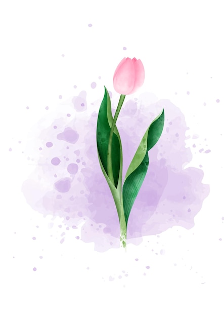 Mooie roze tulpenbloem met brunch in aquarelstijl op paarse en witte achtergrond